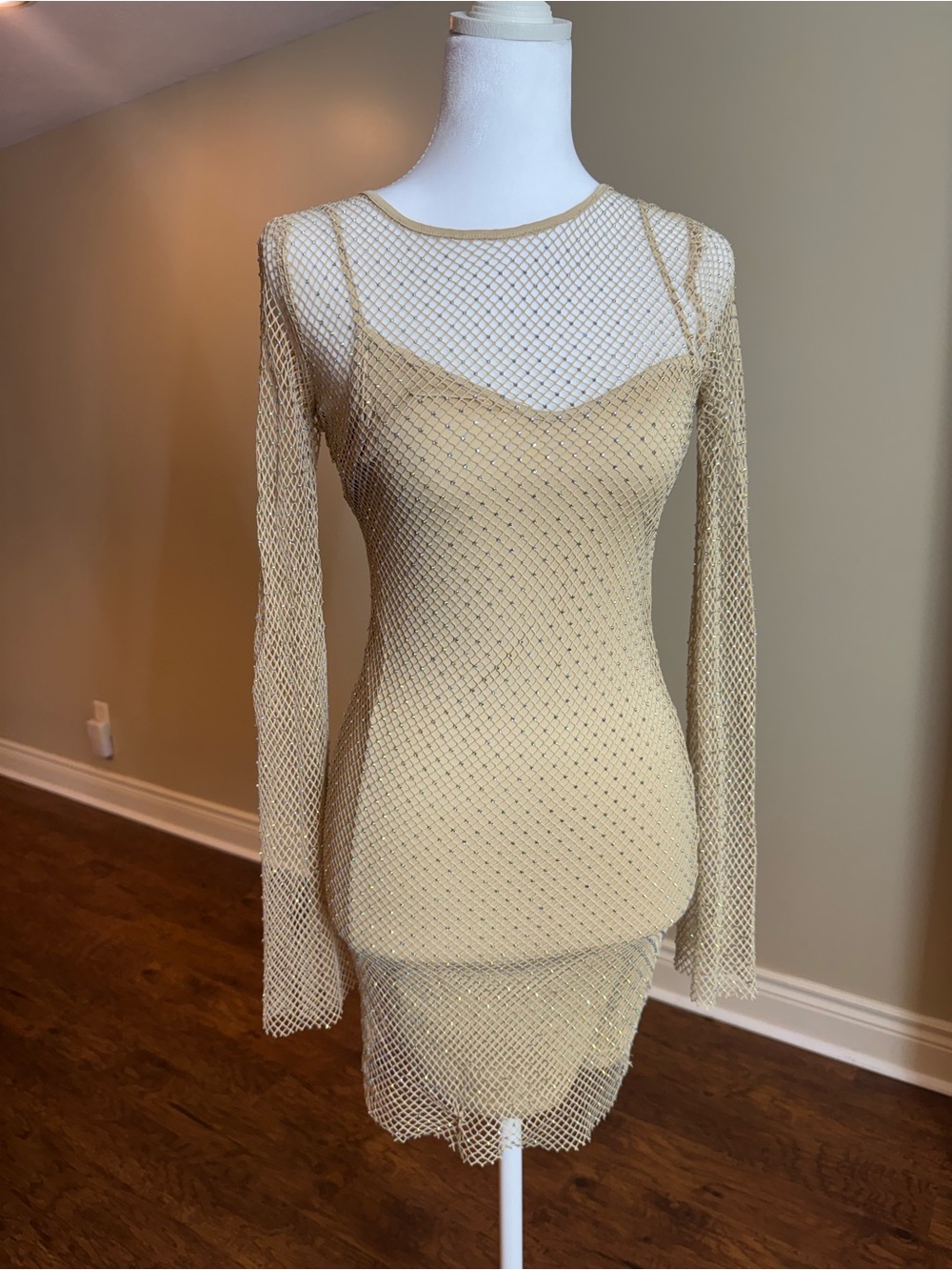 Sincerely Jules Beige Mesh Overlay Mini Dress